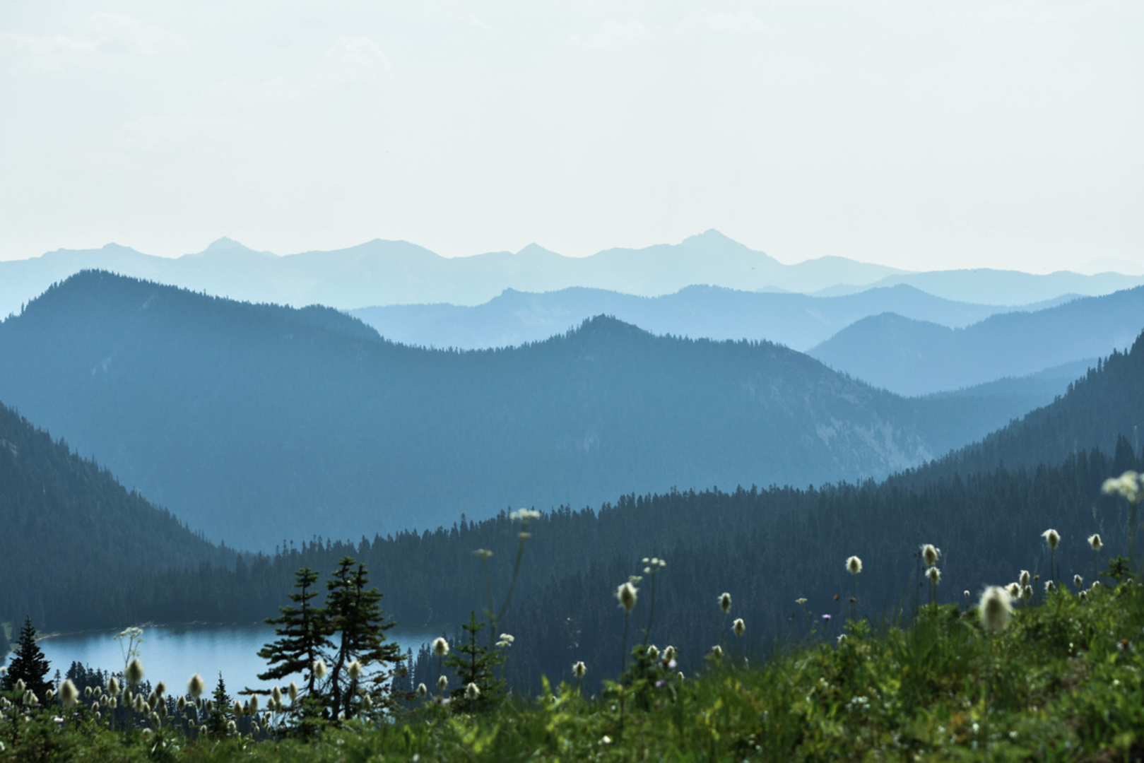 An image depicting the trail Dewey Lake Way Trail and its surrounding area.