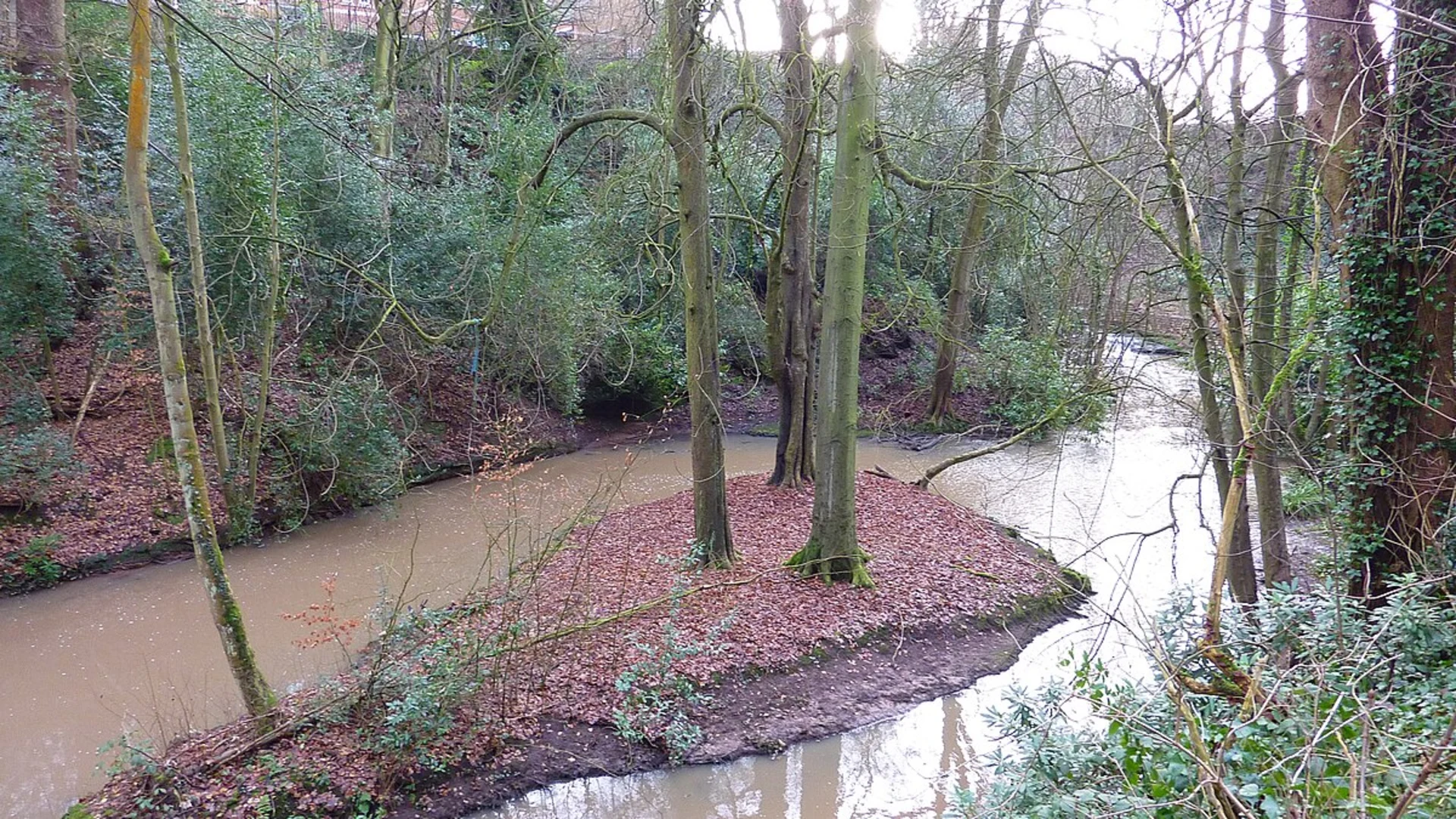 An image depicting the trail Grapenhall Wood and The Dingle Loop and its surrounding area.
