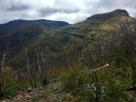 Mount Ligar and Tamboritha Trail