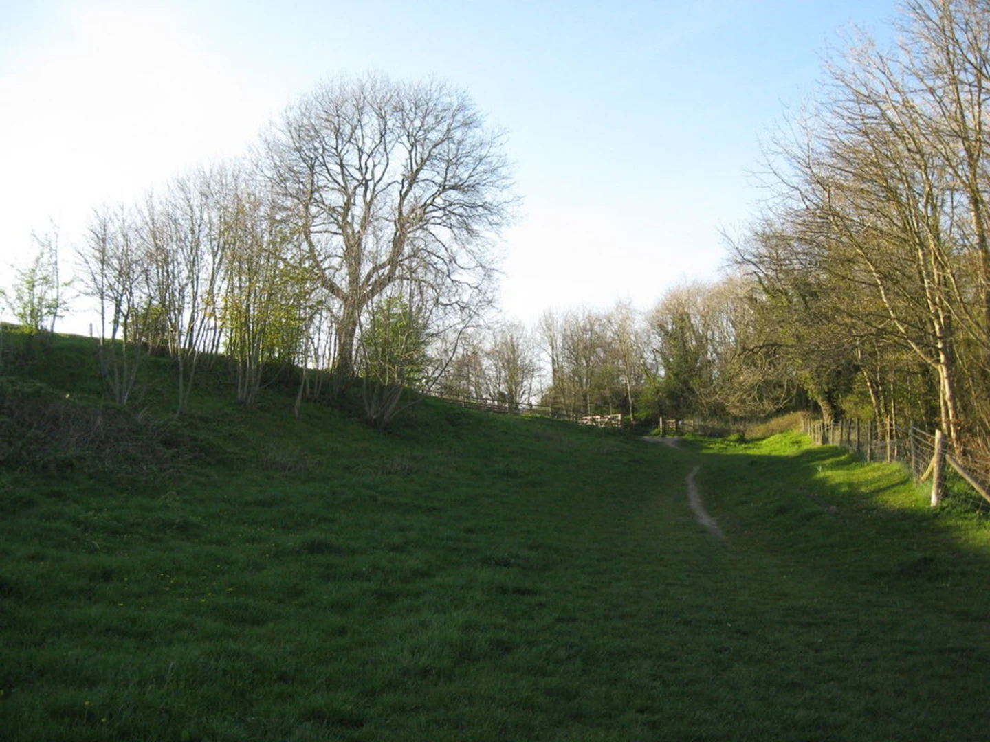 An image depicting the trail Hills and Hillforts - Cam Long Down and Uley and its surrounding area.