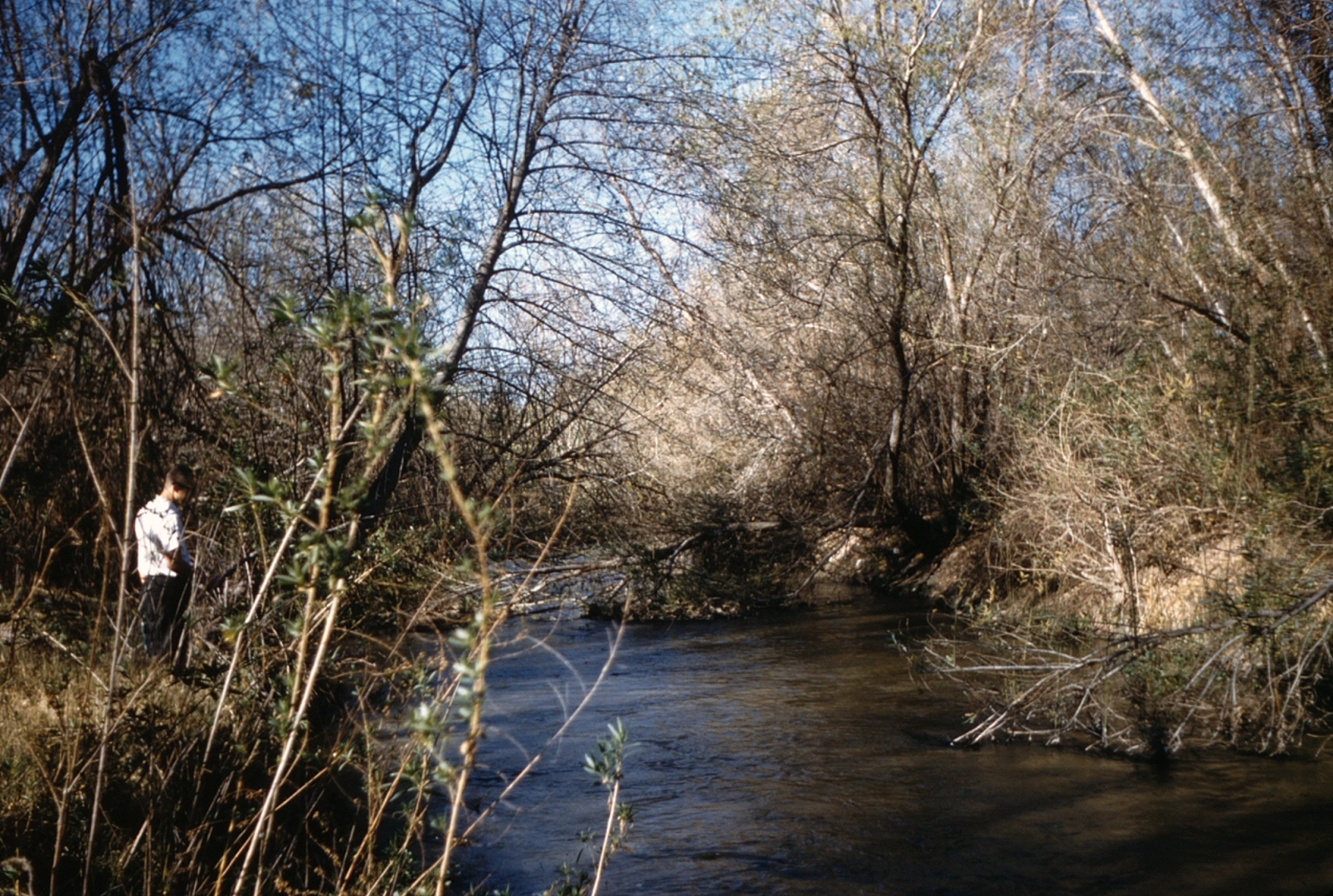 An image depicting the trail Santa Ana River Trail and its surrounding area.