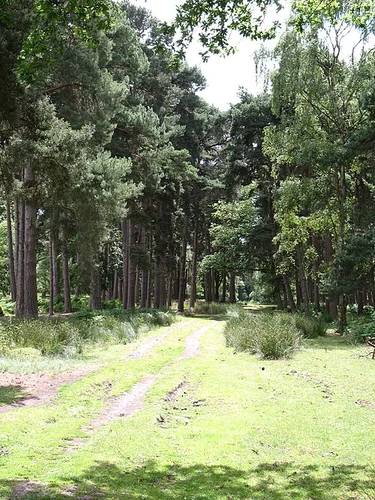 Strensall Training Area Loop