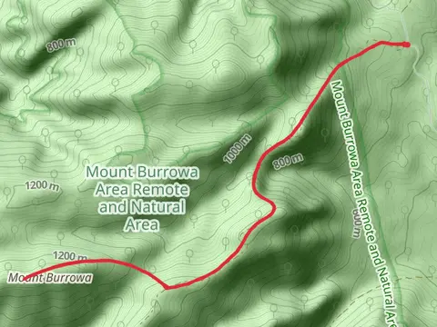 Mt Burrowa and The Pimple Trail