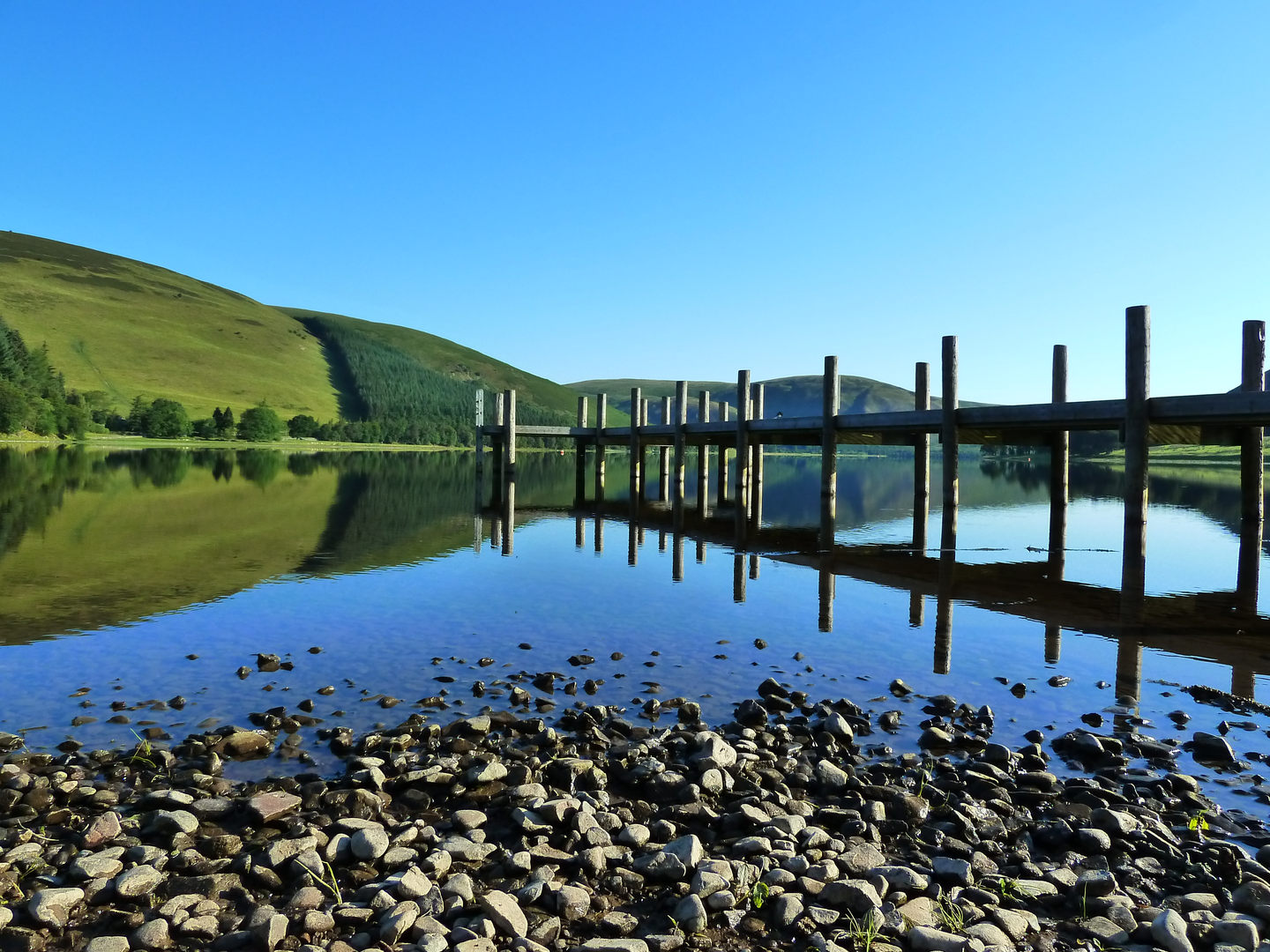 An image depicting the trail St Mary's Loch Circular and its surrounding area.