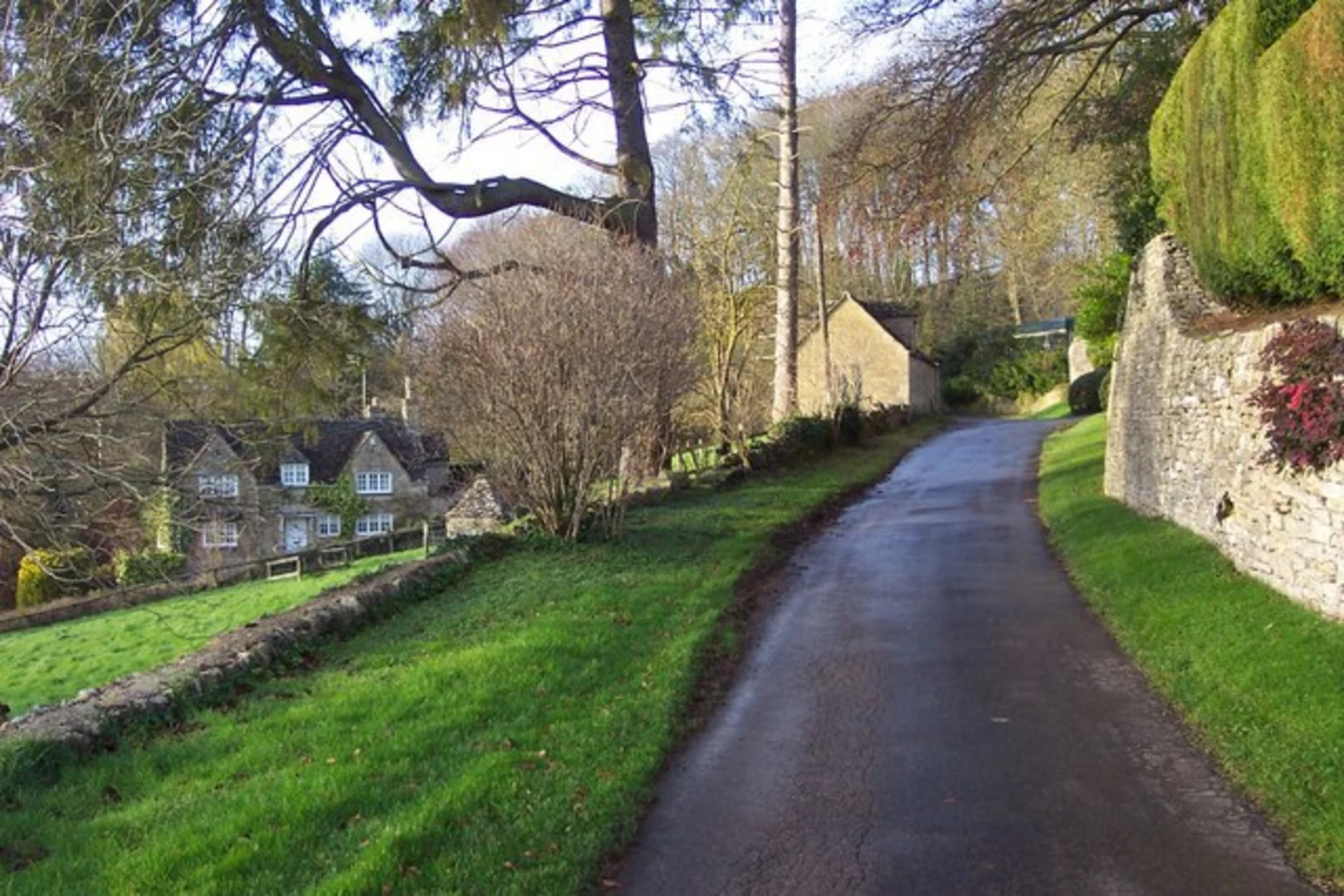 An image depicting the trail Bagendon Loop Walk and its surrounding area.