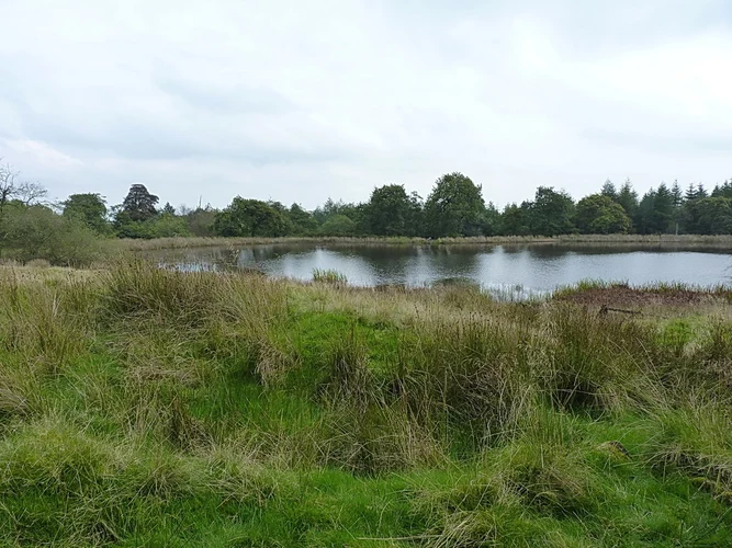 The Game Covert and Burwarton Park Loop