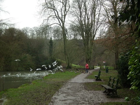 An image depicting the trail Hubbard's Hills and its surrounding area.