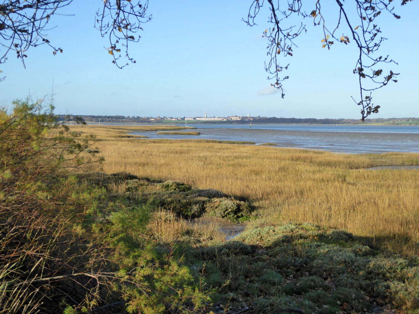 An image depicting the trail Wrabness Nature Reserve Loop and its surrounding area.