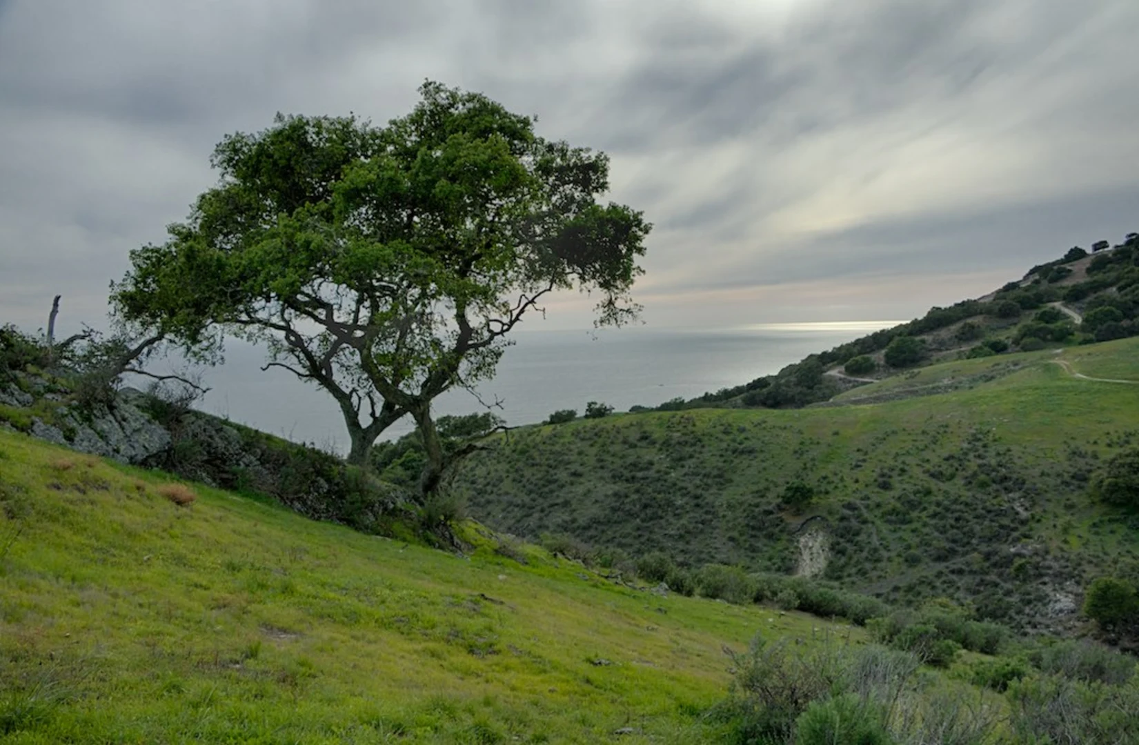 An image depicting the trail Vamonos Canyon Loop and its surrounding area.