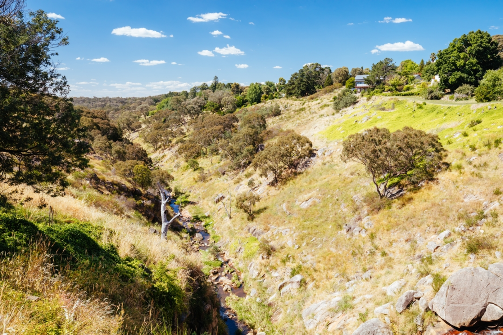 An image depicting the trail Beechworth Gorge Walk and its surrounding area.