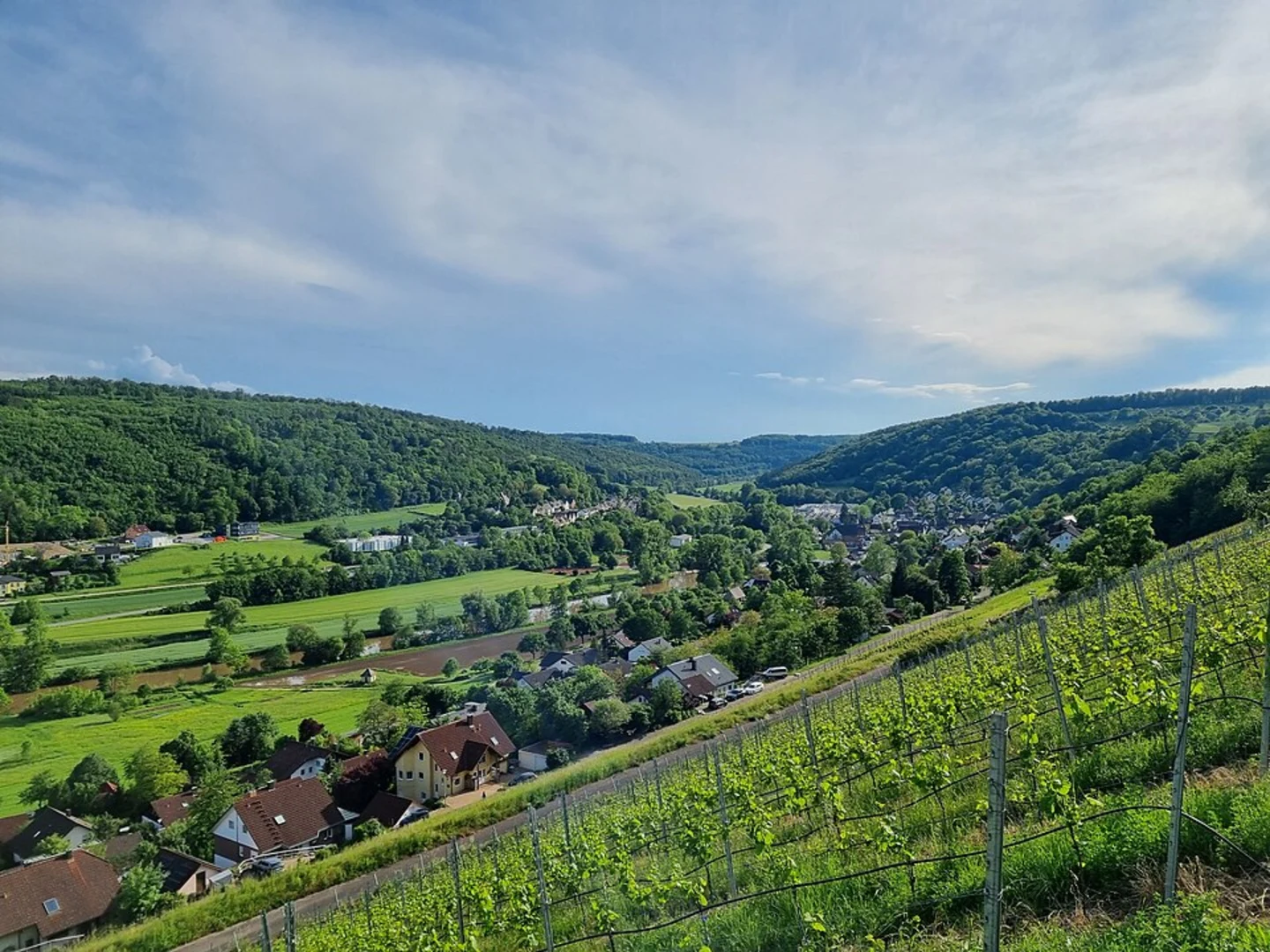 An image depicting the trail Ernsbach Walk and its surrounding area.