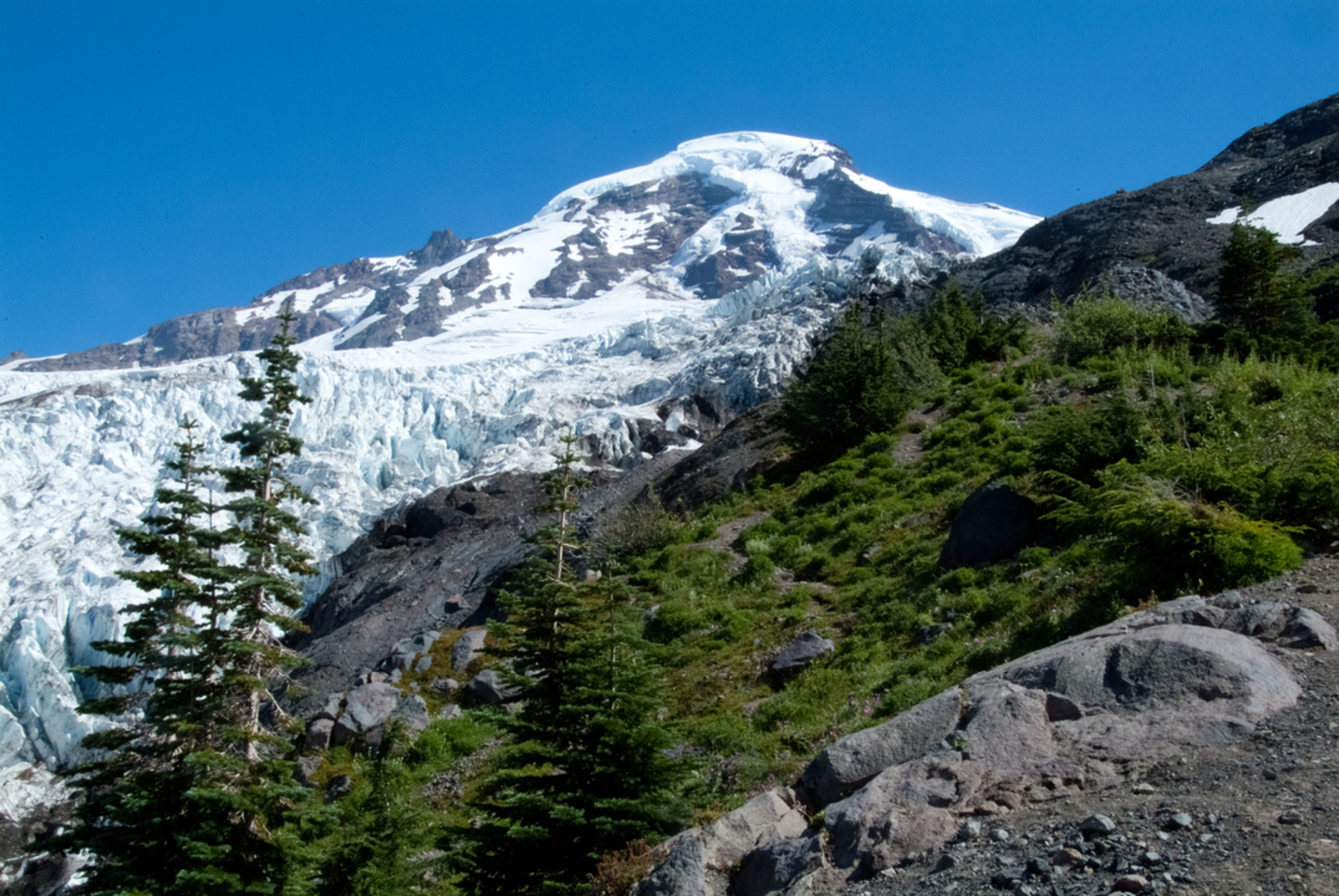 An image depicting the trail Heliotrope Ridge Trail and its surrounding area.