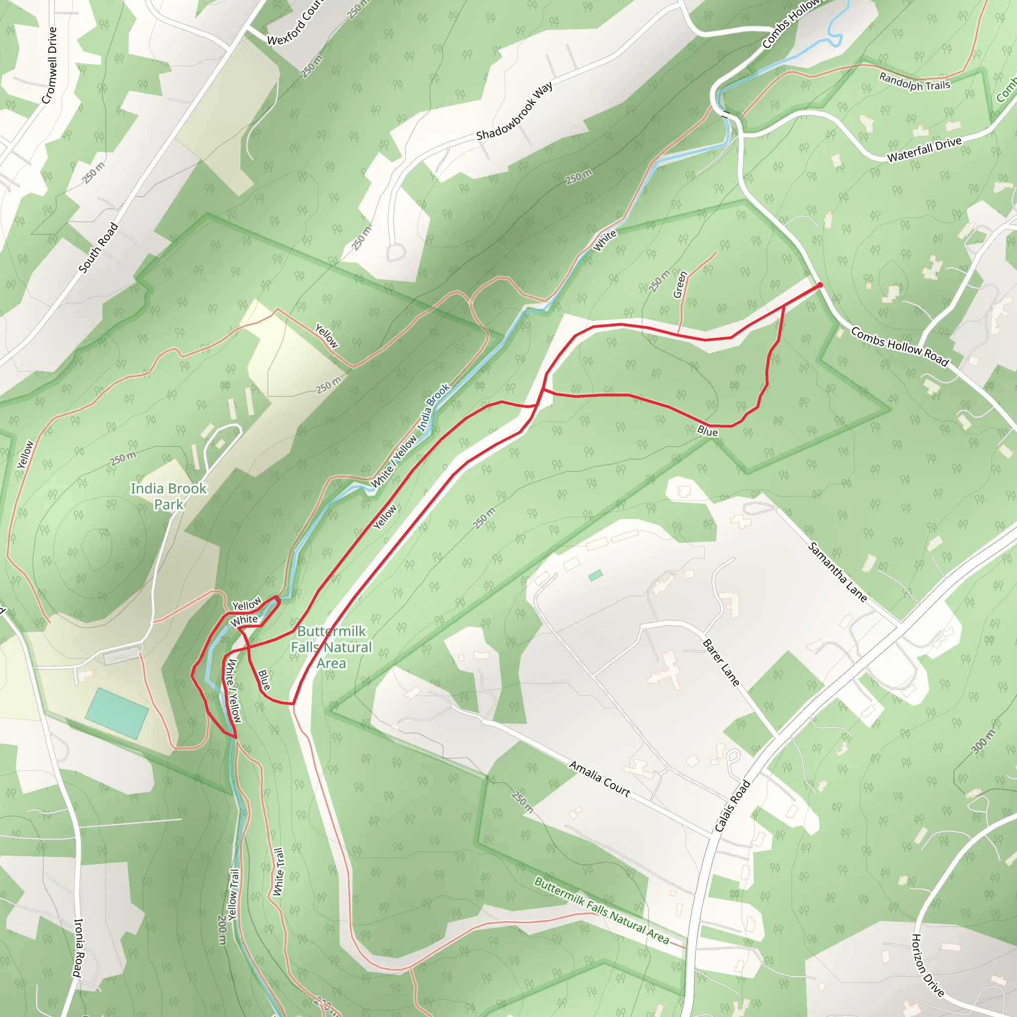 Yellow and Blue Loop Trail mobile static map