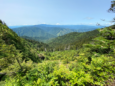 An image depicting the trail Forney Ridge Trail and its surrounding area.