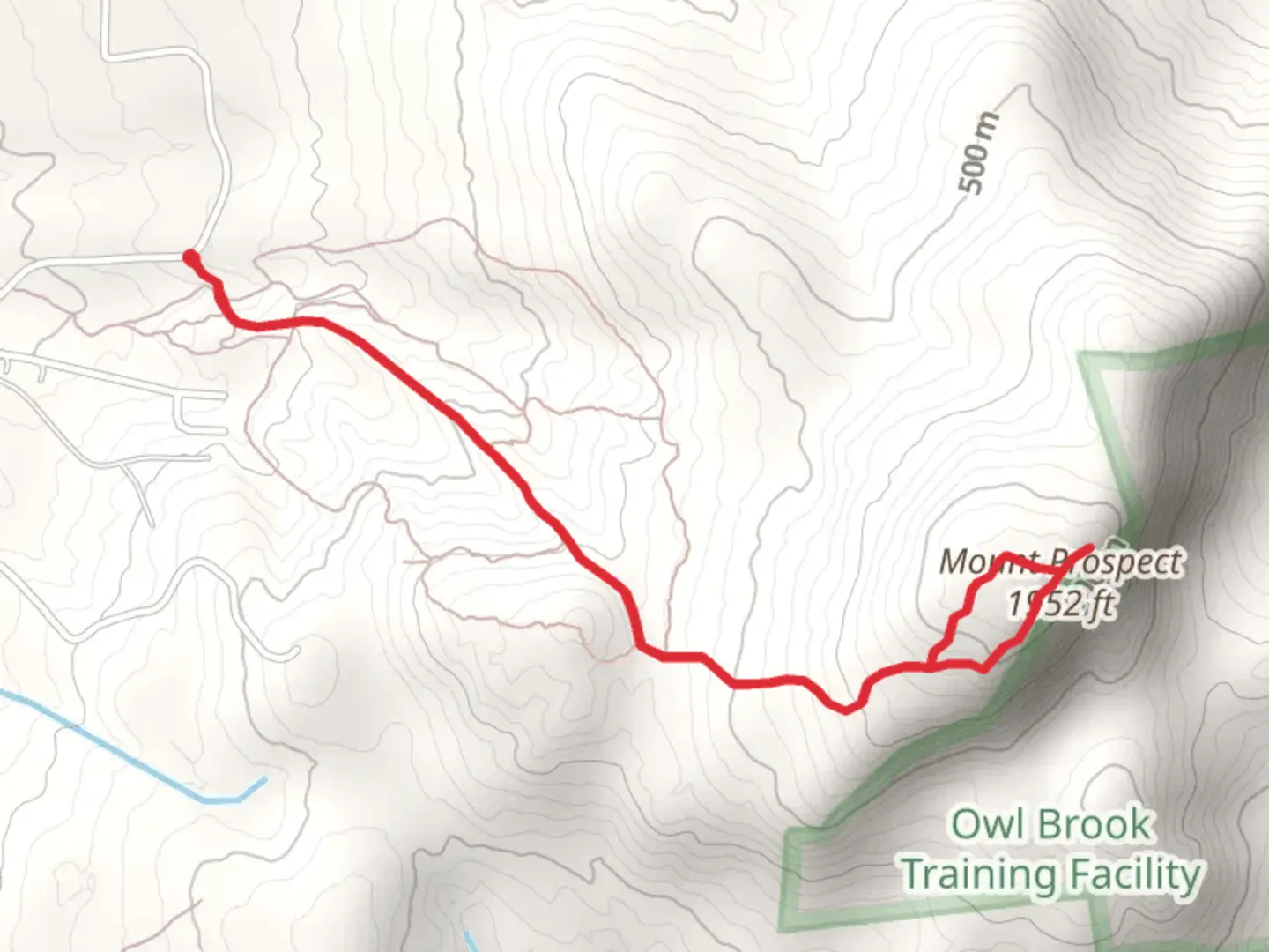 An image depicting the trail Mount Prospect from Mt Prospect Road and its surrounding area.