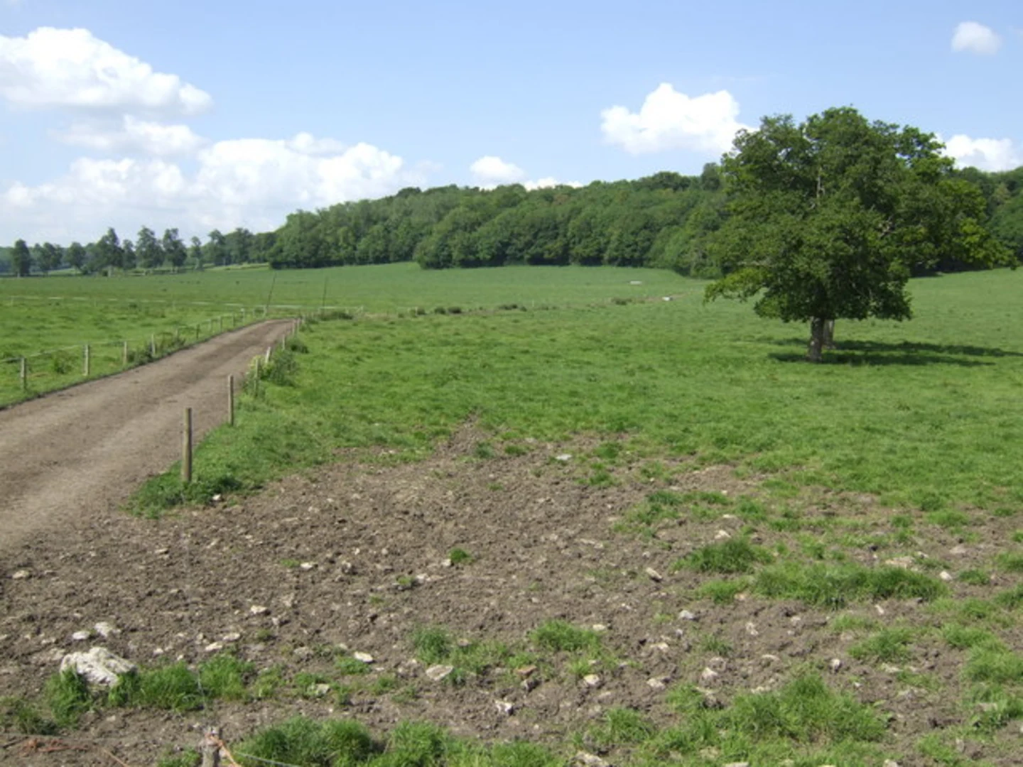 An image depicting the trail Hanover Wood, Coach Hill Wood and Goathill WOod Loop and its surrounding area.