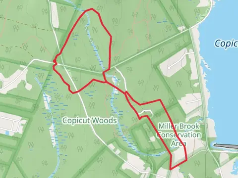 Miller Brook - Costa Mello Loop