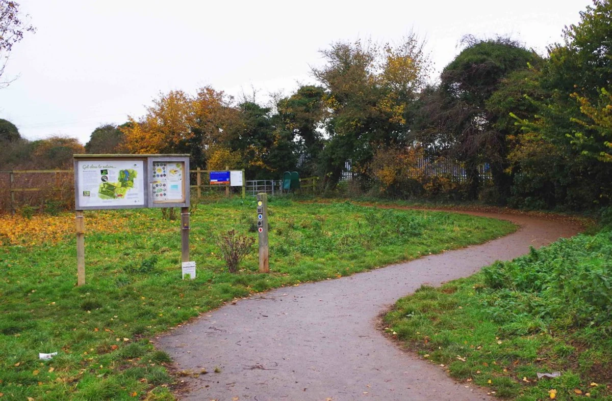 Stanton Country Park and Great Wood Loop