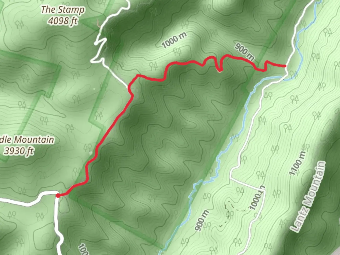 An image depicting the trail Straight Fork Trail and its surrounding area.