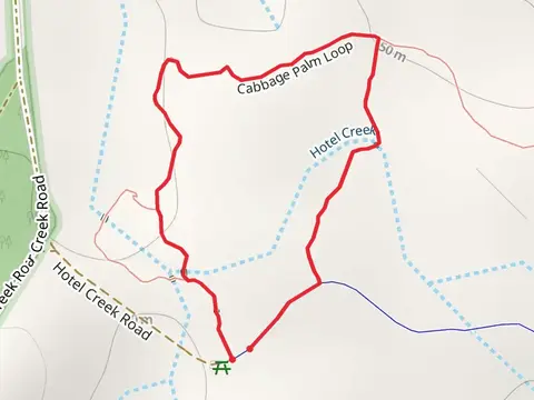 Cabbage Palm Loop Track