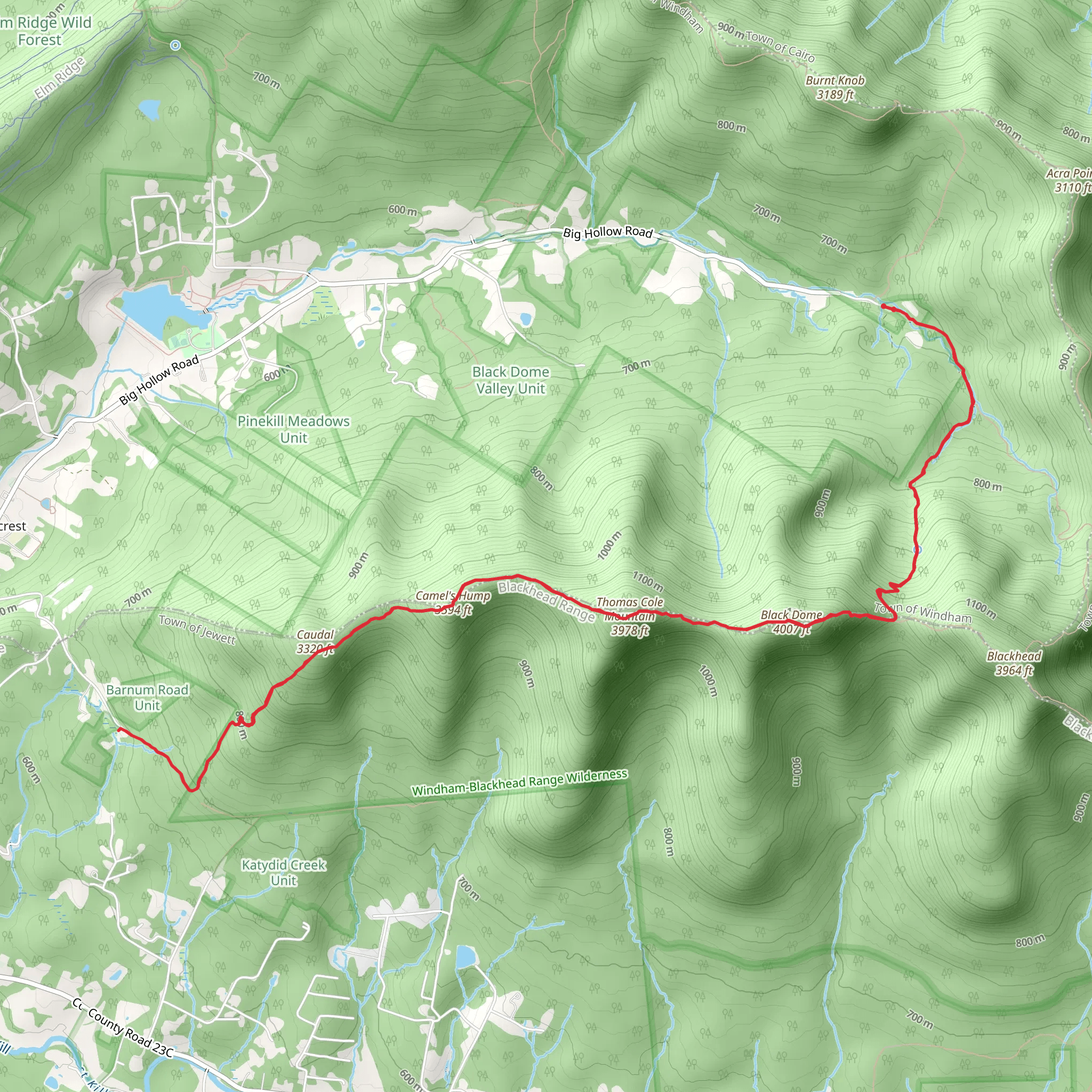Thomas Mountain and Caudal mobile static map