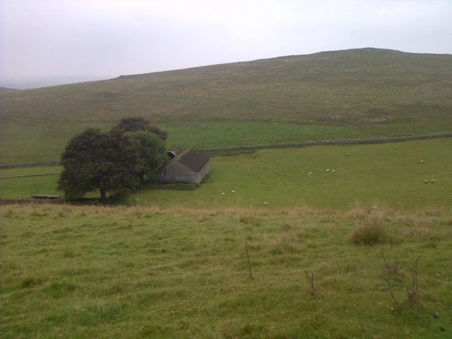 An image depicting the trail Thor's Cave and Wetton Mill Loop - Wetton and its surrounding area.