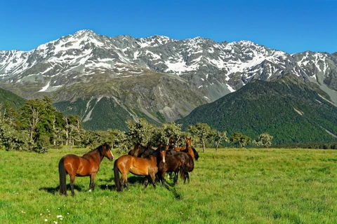 An image depicting the trail St James Walkway and its surrounding area.