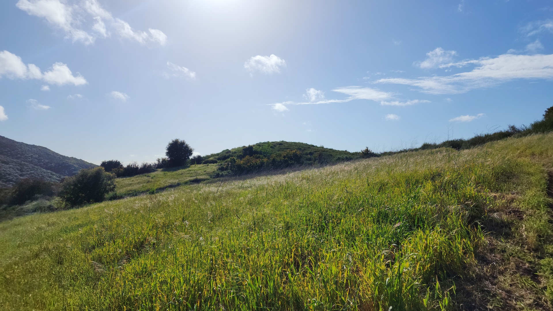 An image depicting the trail Oak Creek Canyon and Los Robles Trail and its surrounding area.