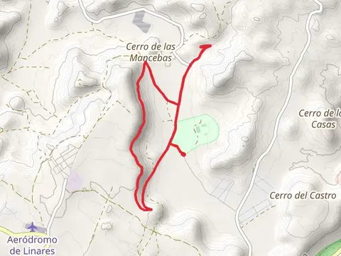 De la Garza and San Pacual Mine PR A 262