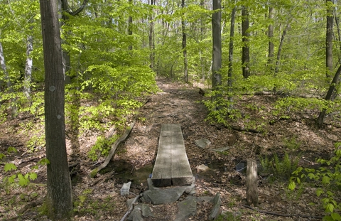 LHHT Decker Avenue Shelter Trail