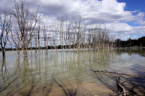 Warepil Lookout Loop Trail