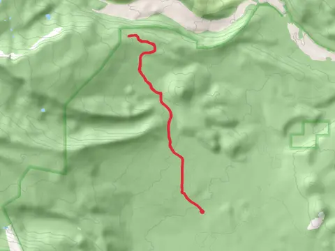 Brush Creek and Abbot Creek Walk