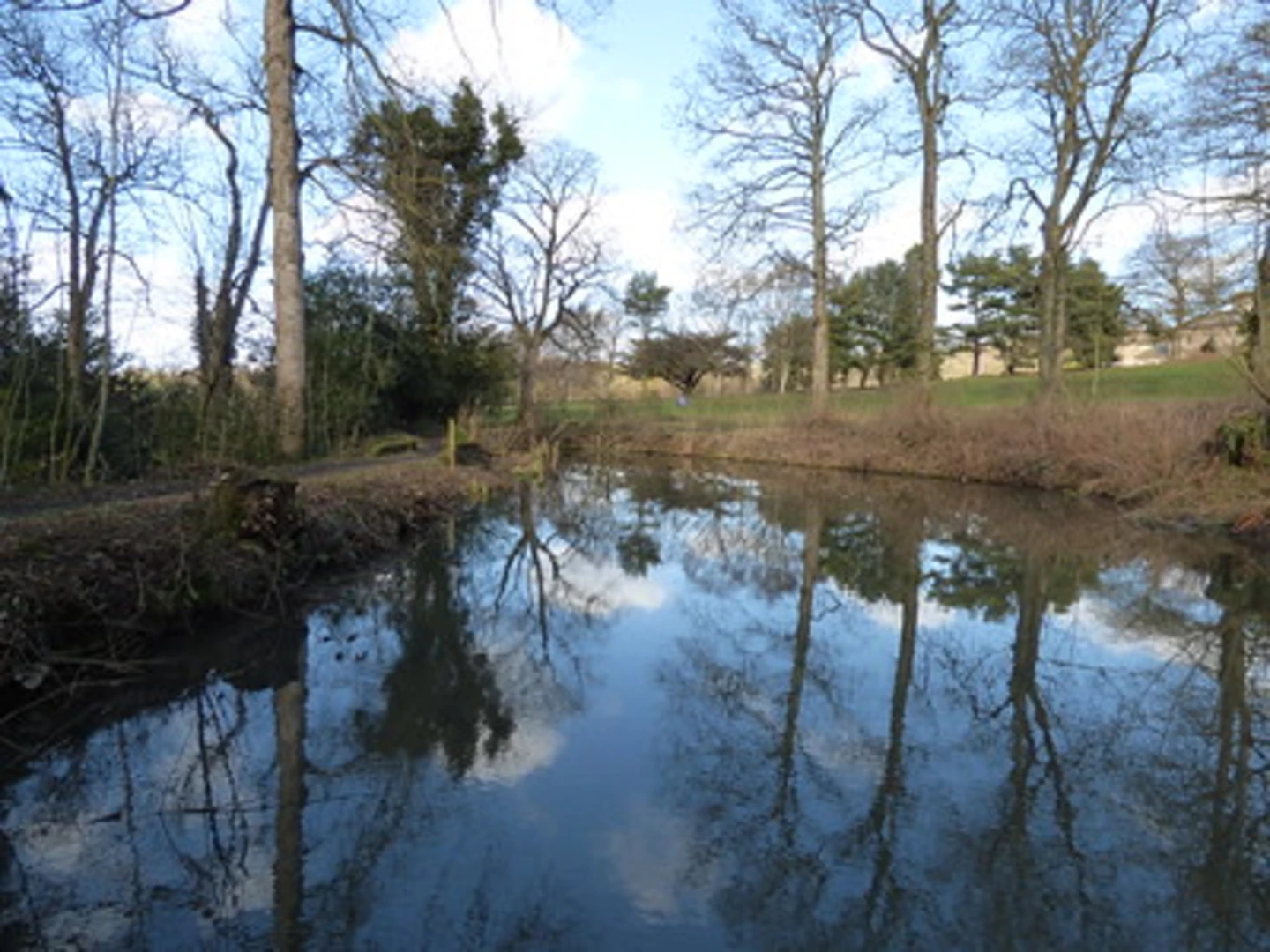 An image depicting the trail Leasowes Park and Coombswood Valley Black Country Geosite Loop and its surrounding area.