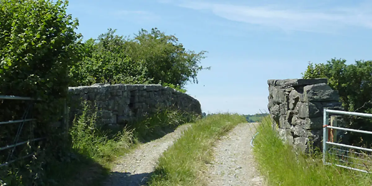 Twm Town from Tregaron