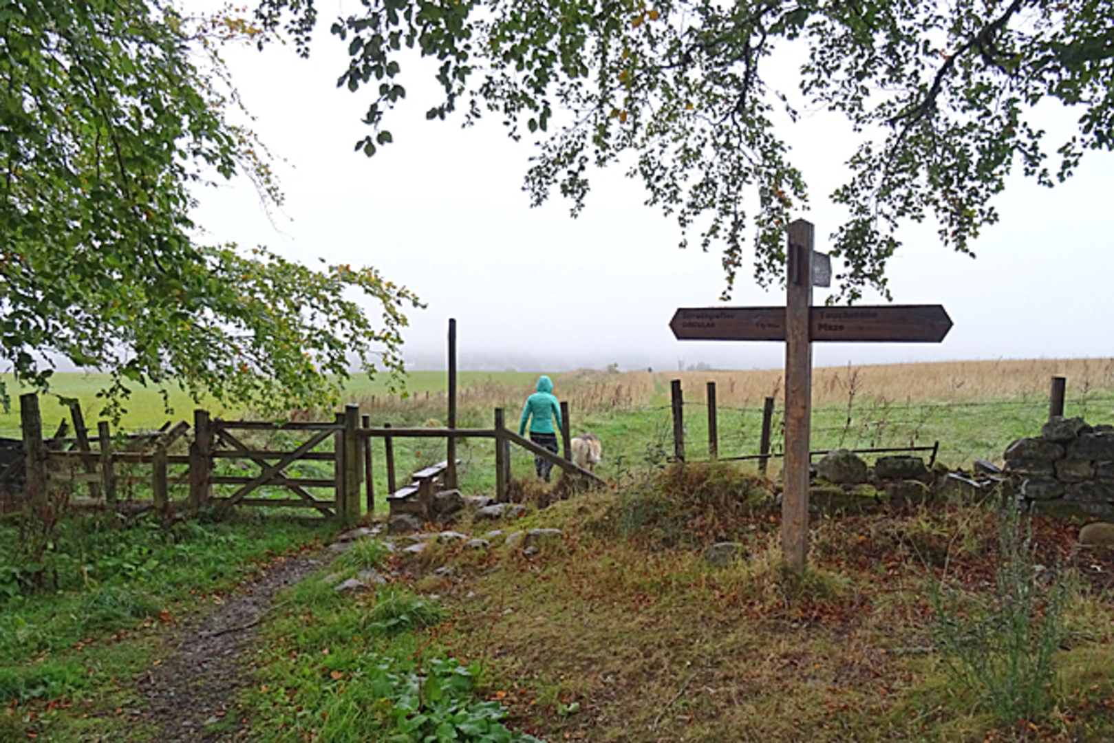 An image depicting the trail Touchstone Maze Trail from Strathpeffer and its surrounding area.