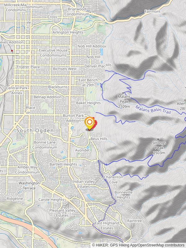 WSU Parcourse Trail and WSU Discovery Loop