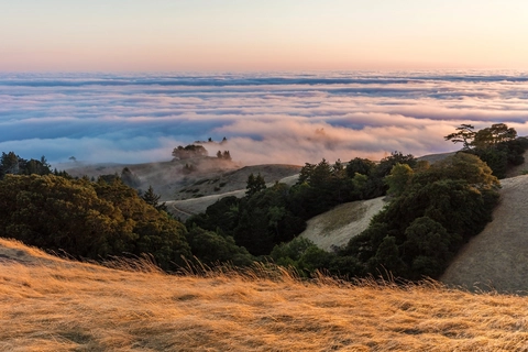 An image depicting the trail Muir Woods to Mount Tam East Peak Loop Trail and its surrounding area.
