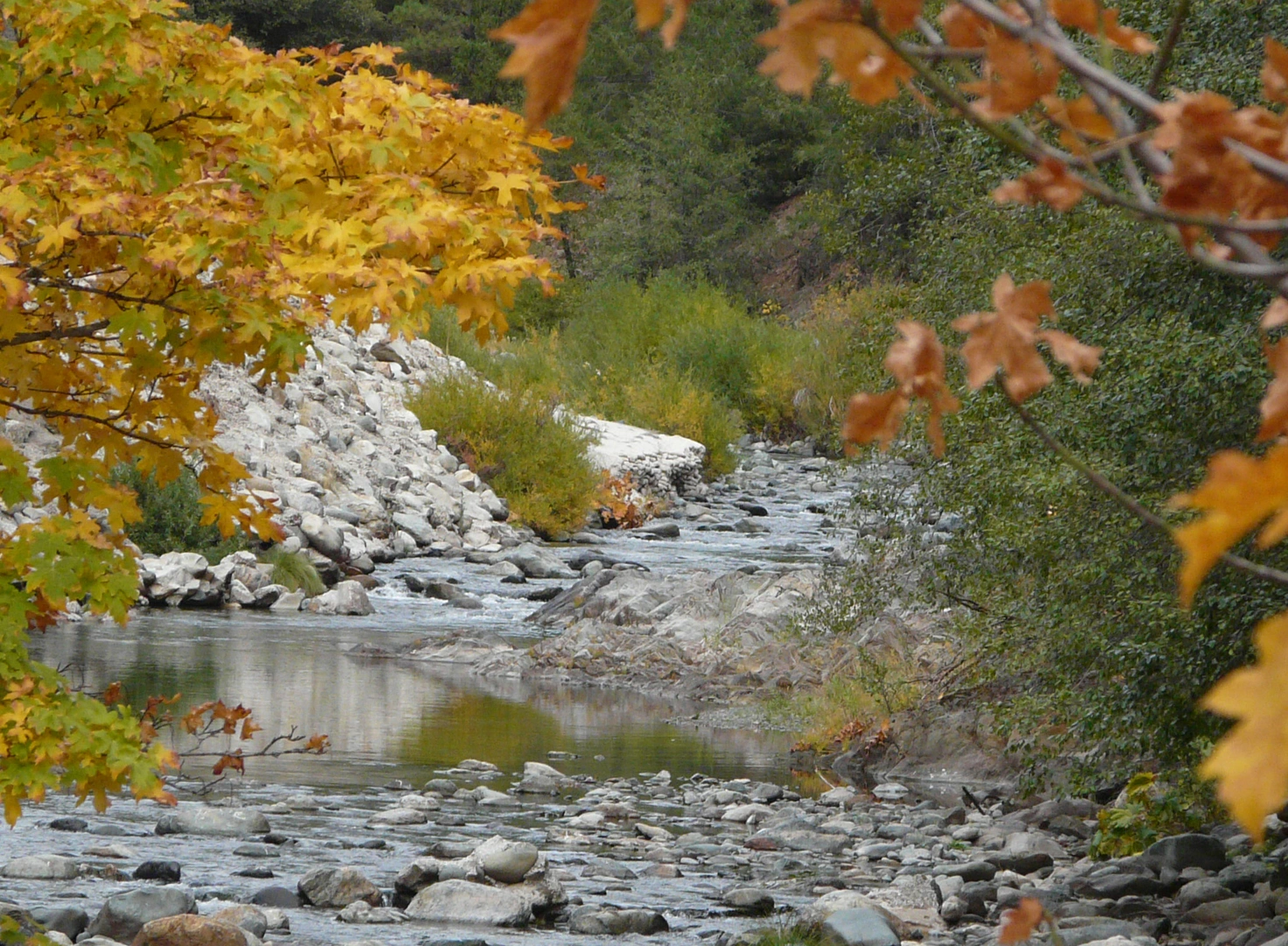 An image depicting the trail North Yuba River via PCT and its surrounding area.