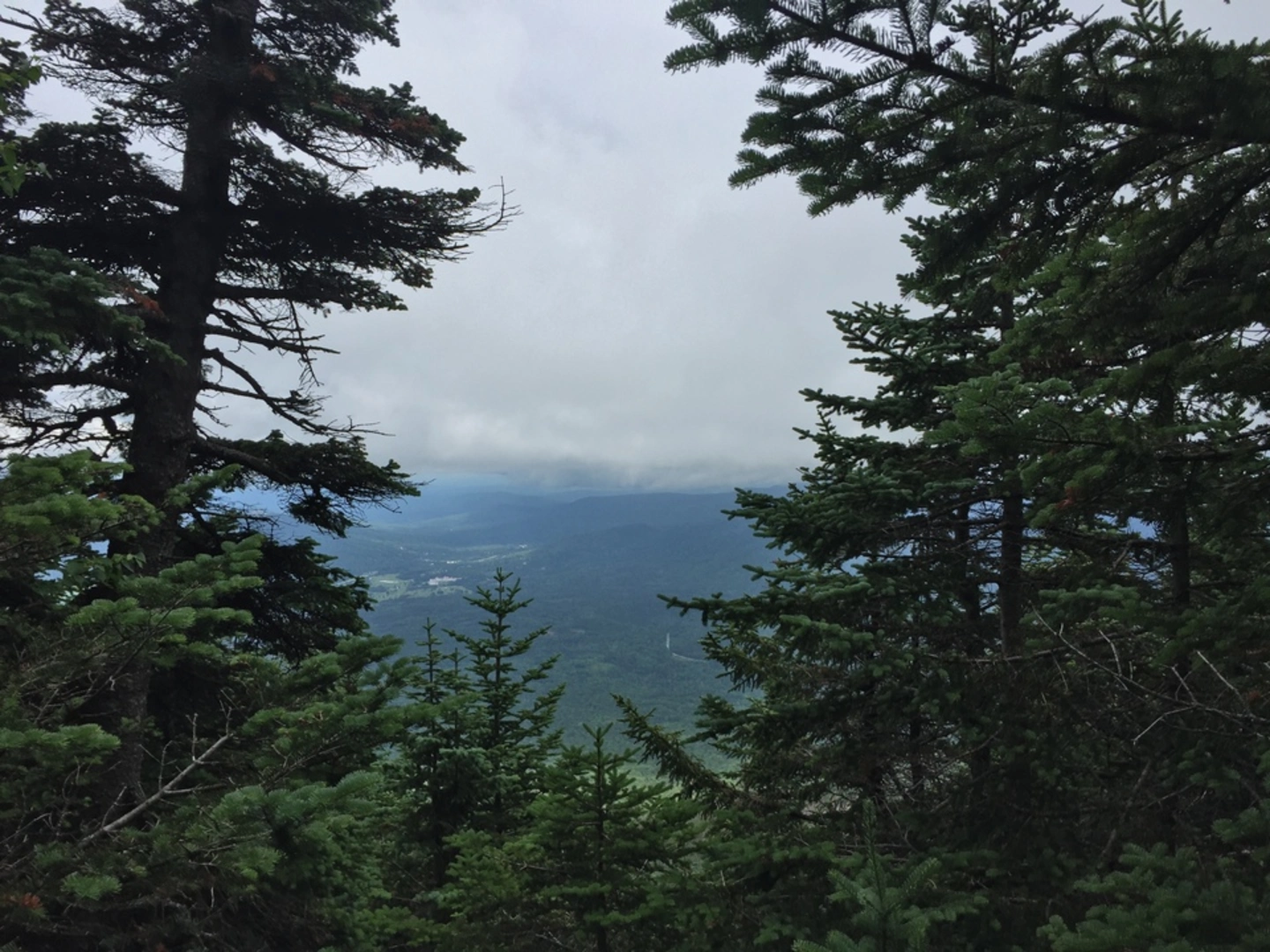 An image depicting the trail Edmands Path Trail and its surrounding area.