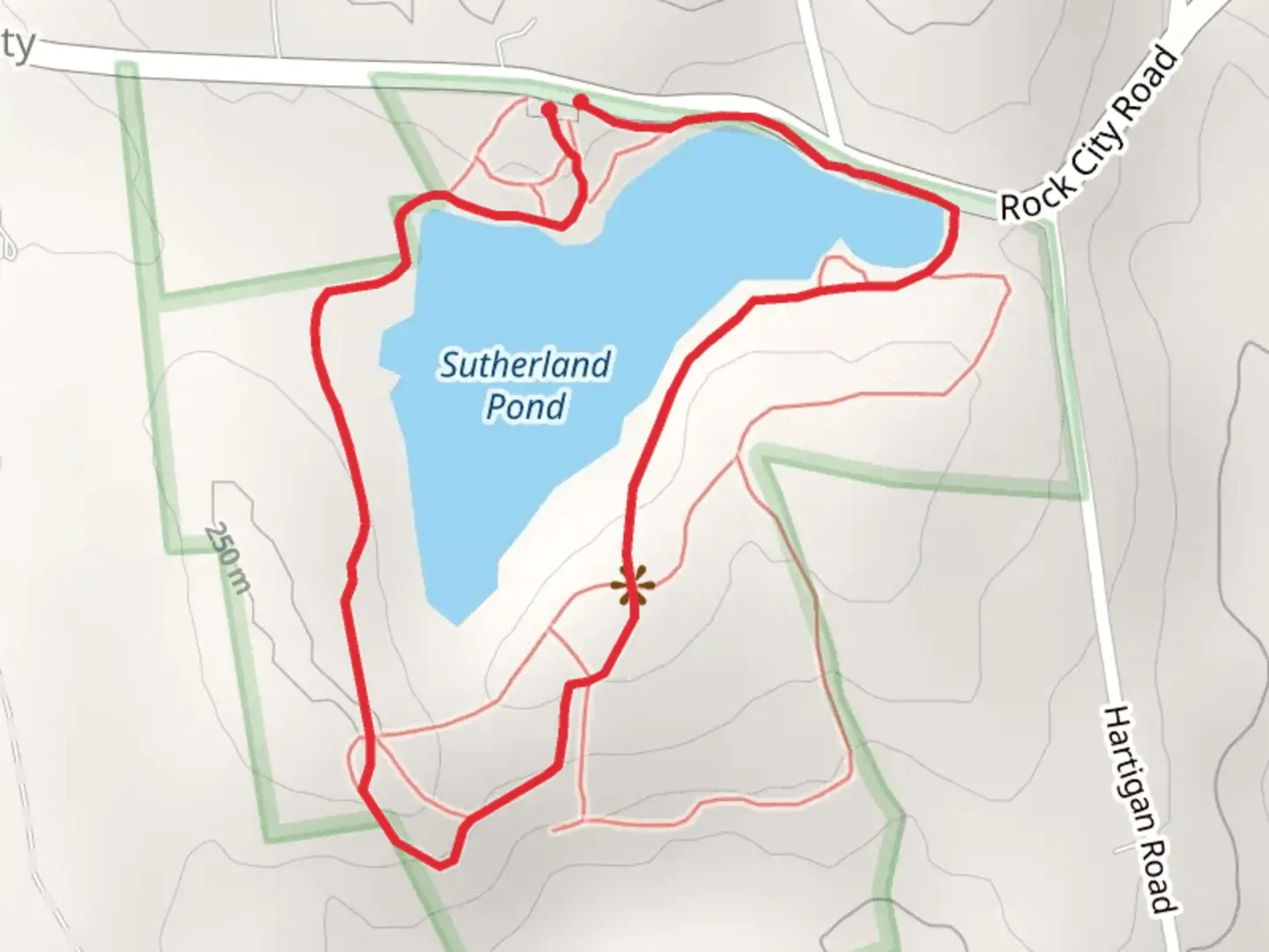 An image depicting the trail Sutherland Pond from Rock City Road and its surrounding area.