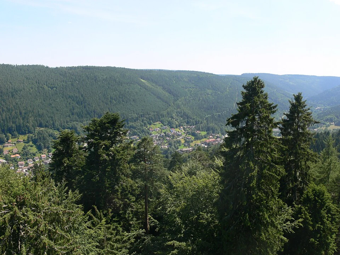 An image depicting the trail Heinrichshoehe via Rußlandweg and its surrounding area.
