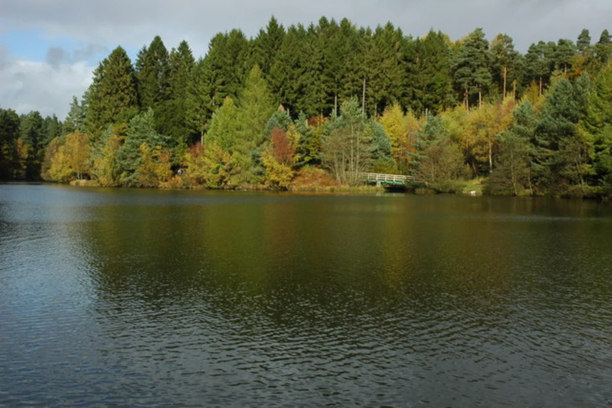 Mallards Pike and Forest of Dean Loop