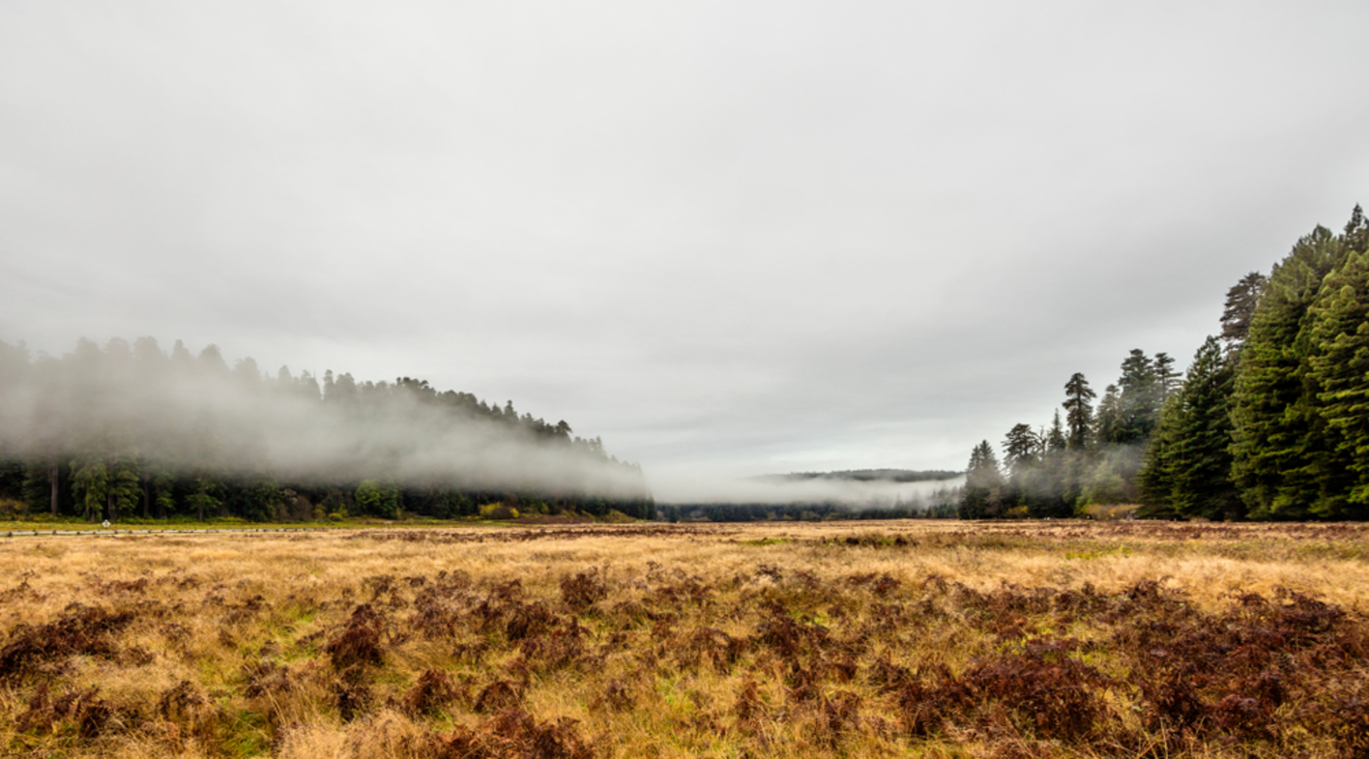 An image depicting the trail Prairie Creek Trail and Foothill Trail Loop and its surrounding area.