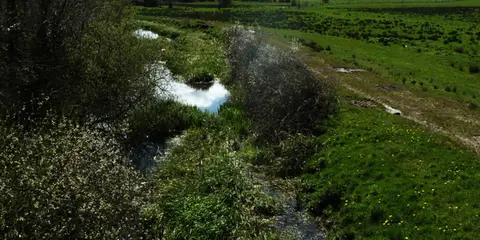 An image depicting the trail Old Lagan Canal Towpath - Aghagallon and its surrounding area.