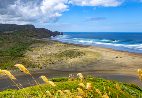 Bethells Beach Walk