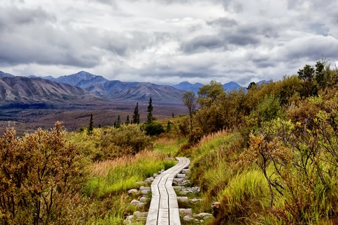 An image depicting the trail Savage Alpine Trail and its surrounding area.