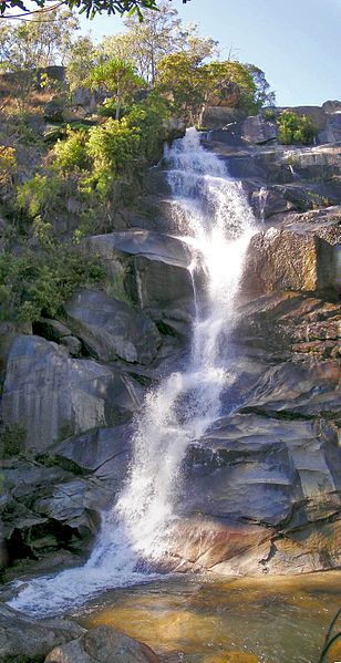 An image depicting the trail Davies Creek National Park and its surrounding area.