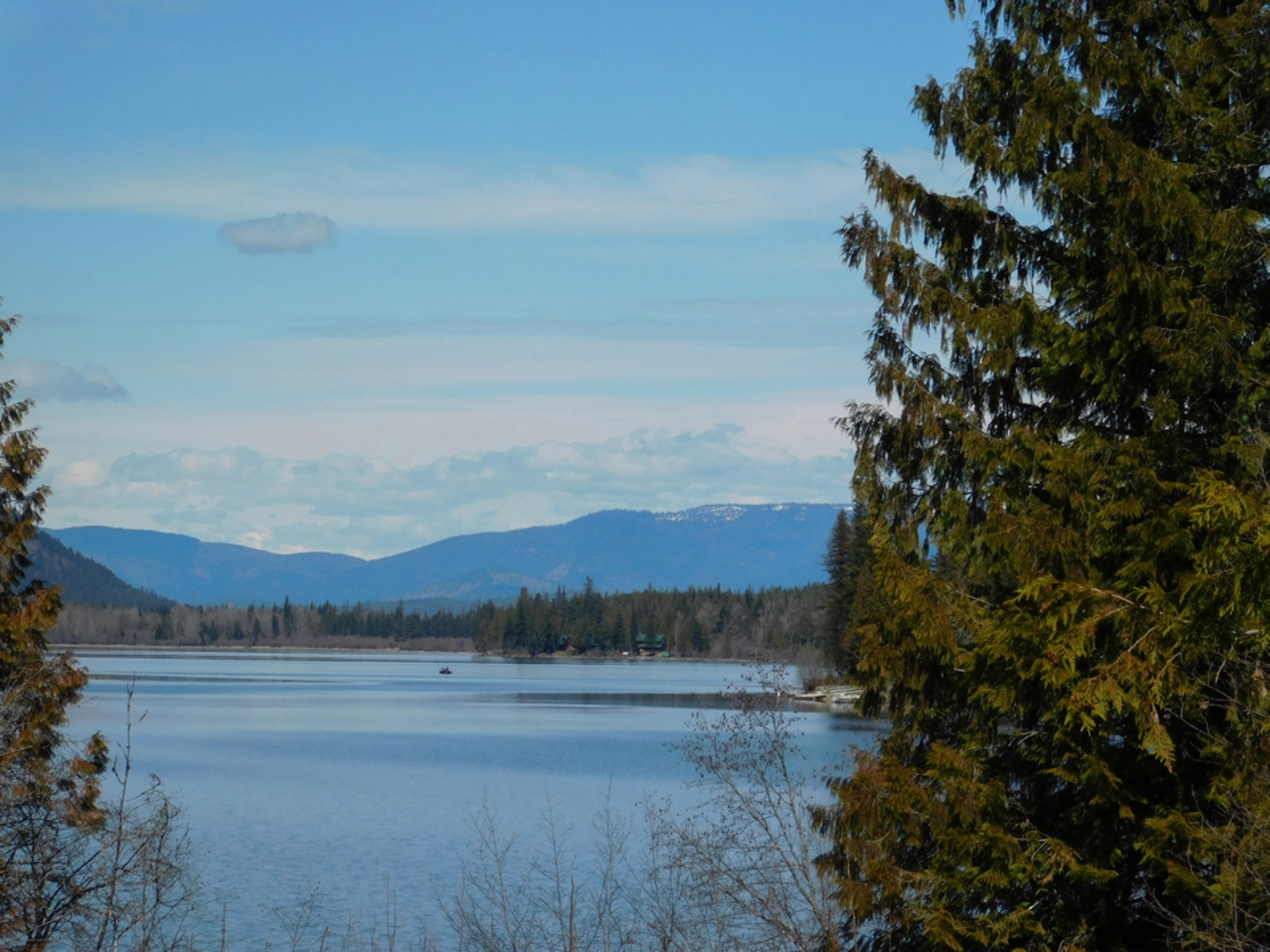 An image depicting the trail North Fork Bull River Trail and its surrounding area.