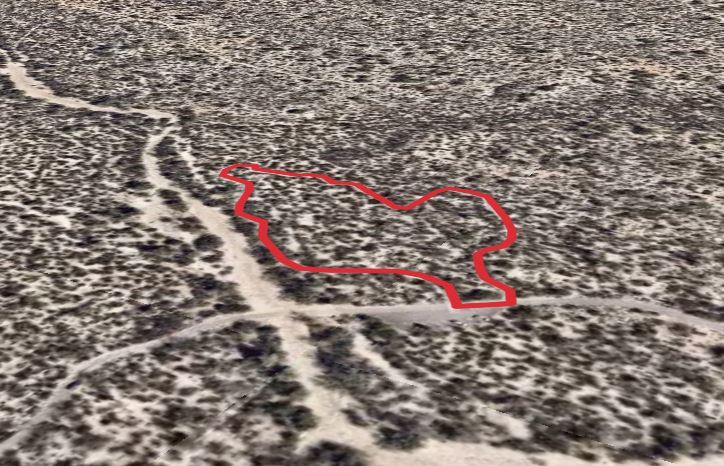 Desert Ecology Loop Trail