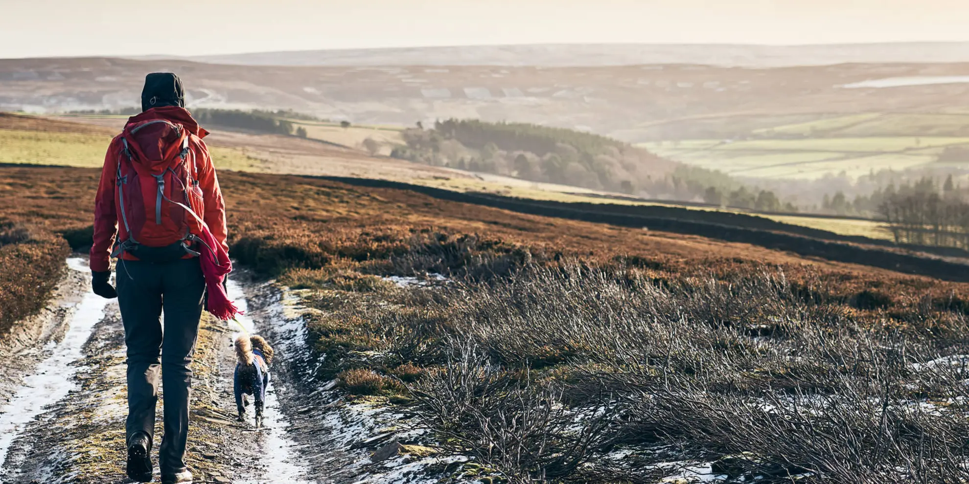 An image depicting the trail Pennypie and Blanchland from Baybridge and its surrounding area.